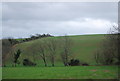 Countryside on North Hill in DT6 4NH