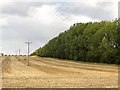 Powerlines, Stubble and Trees in PE10 0TB