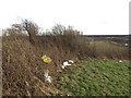 Roadside litter in KY5 0UL