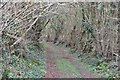 South Somerset : Muddy Footpath in BA22 9DE