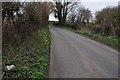 South Somerset : Country Road in BA22 9DE