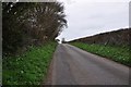 South Somerset : Country Road in BA22 9DJ