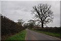 South Somerset : Country Road in BA22 8TZ