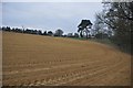 Yeovil : Ploughed Field in BA22 9AB