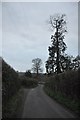 South Somerset : Gooseacre Lane in BA22 9NF