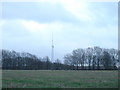 Radio mast at Knighton Hill Farm in SP5 5DY