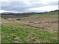 Valley near Kirkton of Airlie in DD8 5NJ