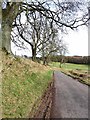 Road leading down to the Bridge of Lundies in DD8 5JD