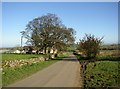 The lane through Hutton Roof, Mungrisdale CP in CA11 0XS