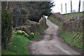 West Somerset : Countryside Road in TA4 2DP