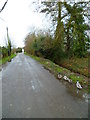 Priors Leaze Lane looking towards Southbourne in PO18 8RQ