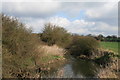 The River Wid, downstream of Butts Way in Goat Hall Ward
