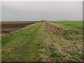 Bridleway to Ouse Washes in Chatteris North & Manea Ward