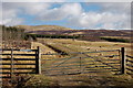 Footpath to Glenshee above Dirnanean in PH10 7PD