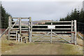 Gate and stile to Calamanach Wood in PH10 7PD