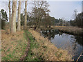 Path along Little Ouse River in IP27 0PL