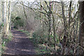 Footpath Beside Folly Brook in N20 8LS