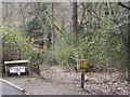 Woodland Footpath, Whitmoor Vale in GU26 6JD