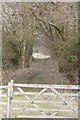 Gate at Fishers Lane in RG18 9LS