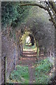 Tree-hung Footpath in SS3 0LG