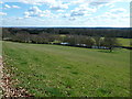 Looking SE from Beech Hill in GU8 5LE