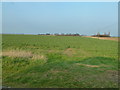 Farmland alongside Hull's Drove in PE6 0LT