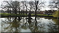 Hartley Wintney pond in RG27 8ED