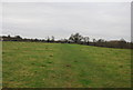 Bridleway across a field in CT3 1XG