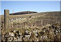 Dry stone wall field boundary in AB51 7NS