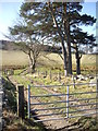 Farm track over Stony Burn in AB51 7NS