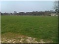 View across fields near Manor Farm in SO30 2SS