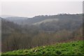 Mid Devon : Grassy Hillsides in EX16 9FF