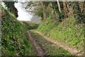 Mid Devon : Ballhill Lane in EX16 9FF