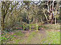 Entrance to Firs Plantation (Firs Wood) in M33 5RX