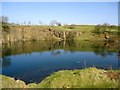 Roughrigg Quarry [2] in ML6 8QL