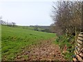 Field and hedge on Sock Hill in EX16 4NU