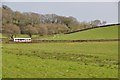 Mid Devon : Grassy Field in EX16 9FA