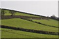 Mid Devon : Grassy Hillside in EX16 9FA