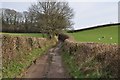 Mid Devon : Track at Chiltern Cross in EX16 9FA