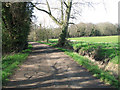 Track from Browns Hill to Irstead Road, Irstead in NR12 8XT