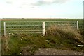 A field near Mundon, Essex in CM9 6PW