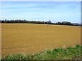 Ploughed Farmland, outside Fornham All Saints in IP28 6NA