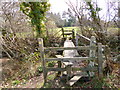 Stuckton, footbridge in SP6 2HG