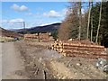 Road and log piles below Turf Hill in DD8 4RQ