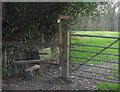 Stile near Fairlight Farm in RH19 3QF