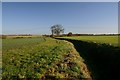 Farmland at Cockfield in IP30 0HD