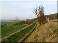 Track and farmland, Baydon in SN8 2DJ