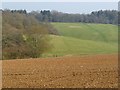 Farmland and woodland, Ramsbury in SN8 2HJ
