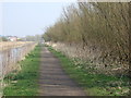 Trans Pennine Trail beside St Helens Canal in WA5 2GH