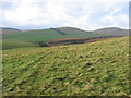 Towards Carmodle from Warroch hillside in KY13 0NY